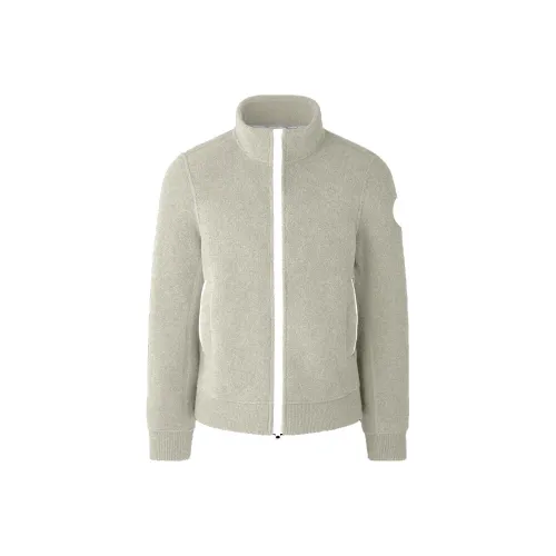 Canada Goose Jackets & Coats Fall Men's Mist Gray