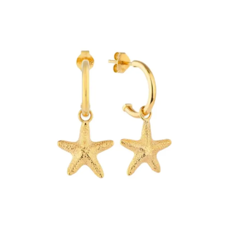 Radiant Stainless Steel Earrings Women's Gold-0