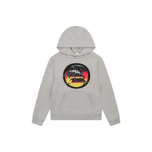 Denim Tears The Scorpion & The Frog Collection Sweatshirts Unisex Gray