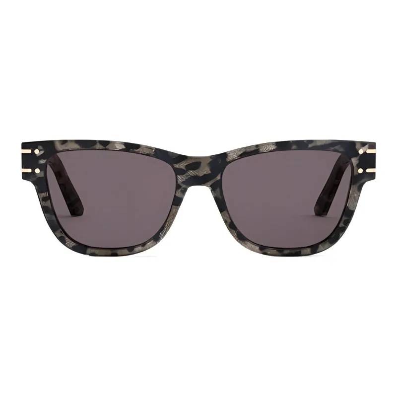 DIOR Sunglasses DIORsignature S6U-1