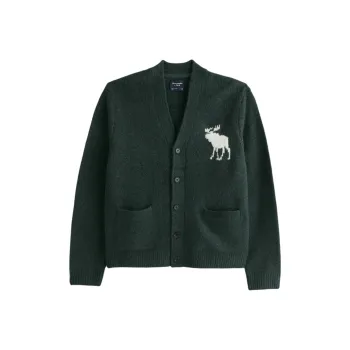 Abercrombie＆Fitch Knitwear Unisex Dark Green
