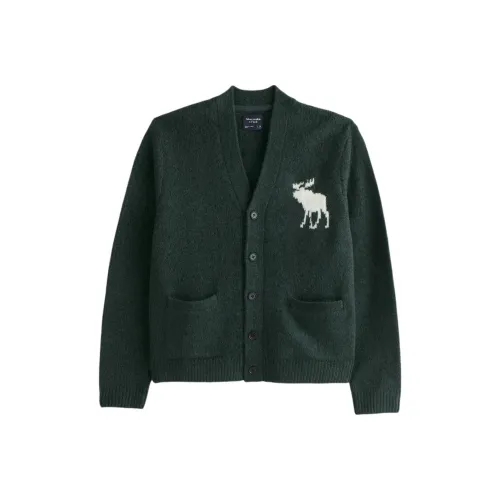 Abercrombie＆Fitch Knitwear Unisex Dark Green