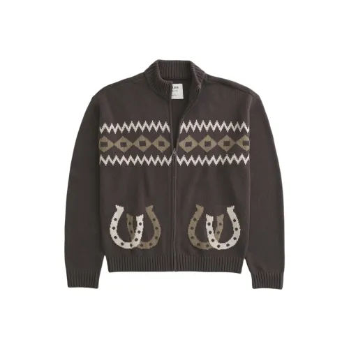 Hollister Knitwear Men's Dark Brown