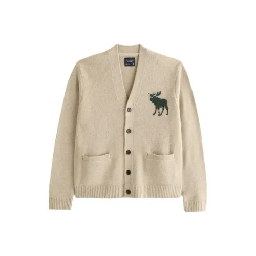 Abercrombie＆Fitch Knitwear Unisex Beige