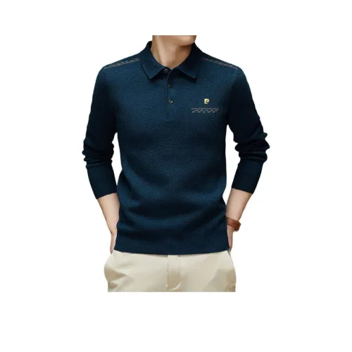 PIERRE CARDIN Knitwear Men