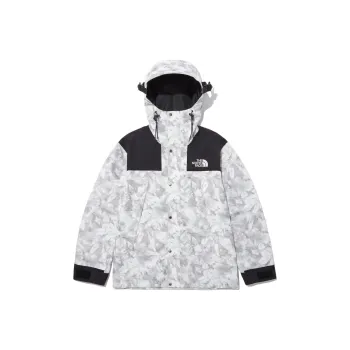 THE NORTH FACE Novelty Gtx Mountain Jacket Gray Unisex Korea Version