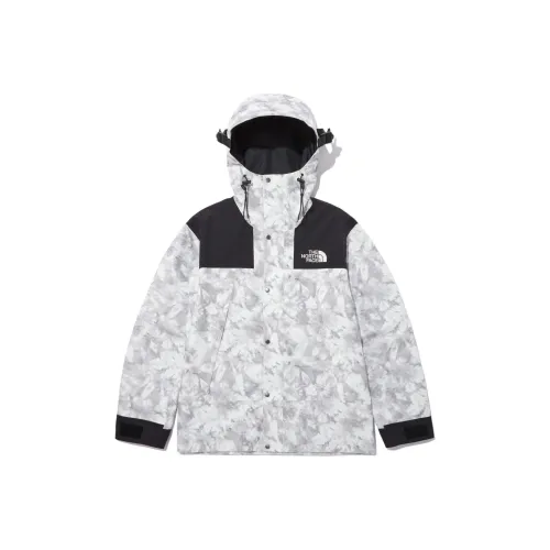 THE NORTH FACE Novelty Gtx Mountain Jacket Gray Unisex Korea Version