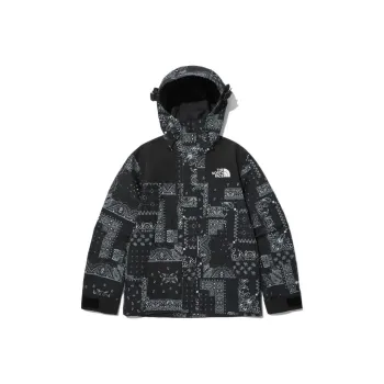 THE NORTH FACE Novelty Eco Gtx Mountain Jacket Matt Black Unisex Korea Version