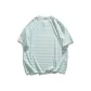 Light Green Stripes