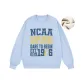 Light Blue (Fleece-Lined)
