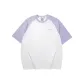 Photinia Purple/00FW