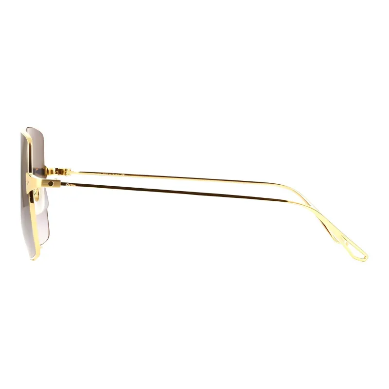 Cartier Square frame Tinted Sunglasses-2