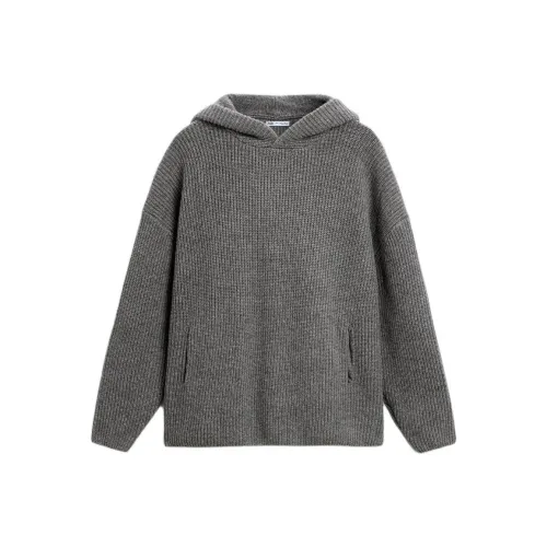 ZARA Sweatshirt Men's Zebra Print Gray