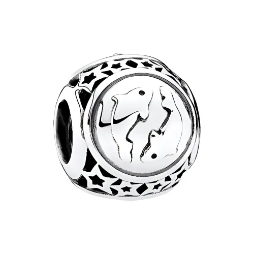 Pandora Jewelry Accessories Women's Silver
