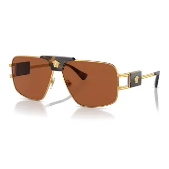 VERSACE Medusa Steel Sunglasses