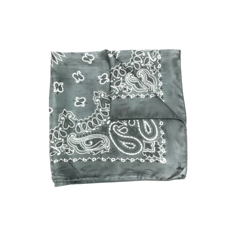 Golden Goose Paisley Printed Scarf-0