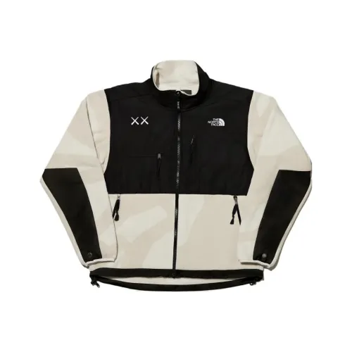 KAWS X THE NORTH FACE Retro 1995 Denali Jacket