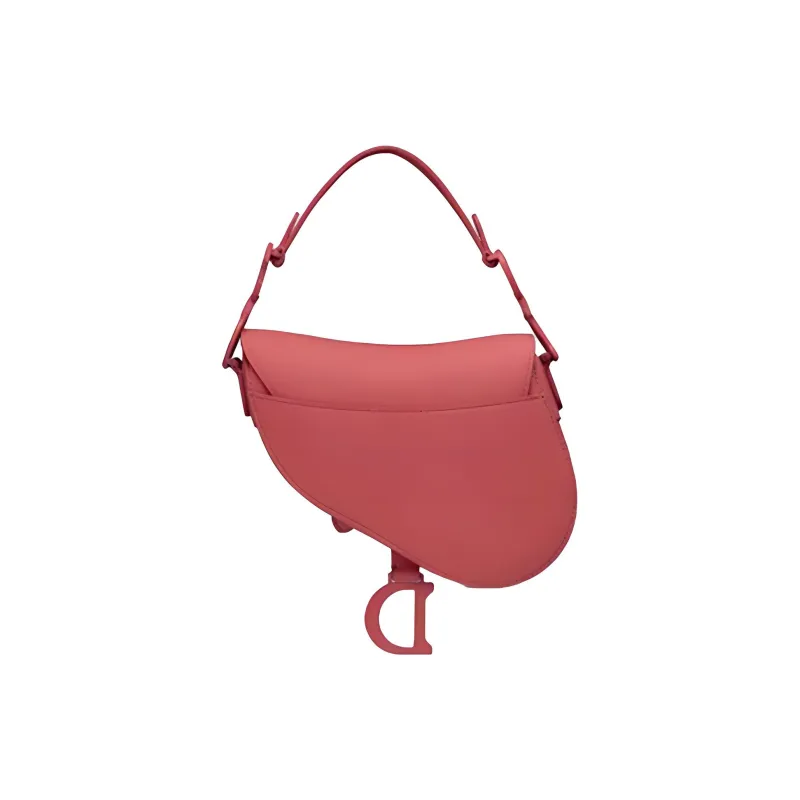 DIOR Saddle Handbags-3