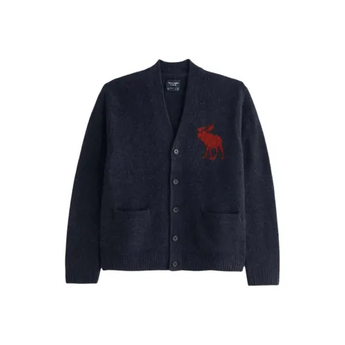 Abercrombie＆Fitch Knitwear Unisex Sea Blue
