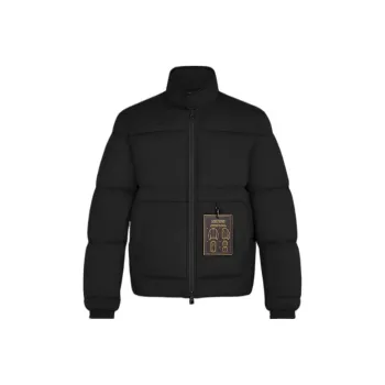 LOUIS VUITTON Reversible Monogram Down Blouson