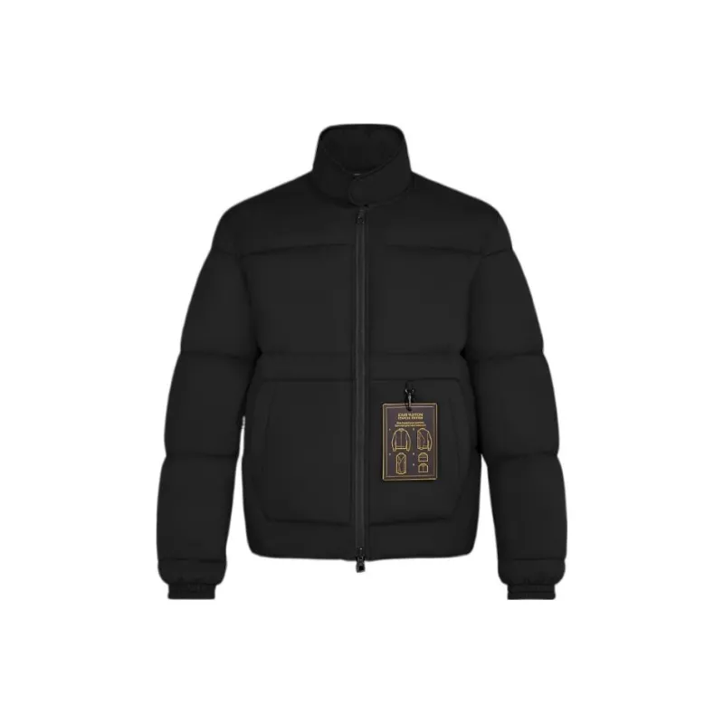 LOUIS VUITTON Reversible Monogram Down Blouson-0
