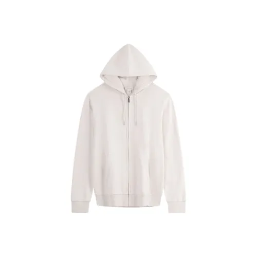 CALVIN KLEIN Sweatshirt Men's Cow Ivory