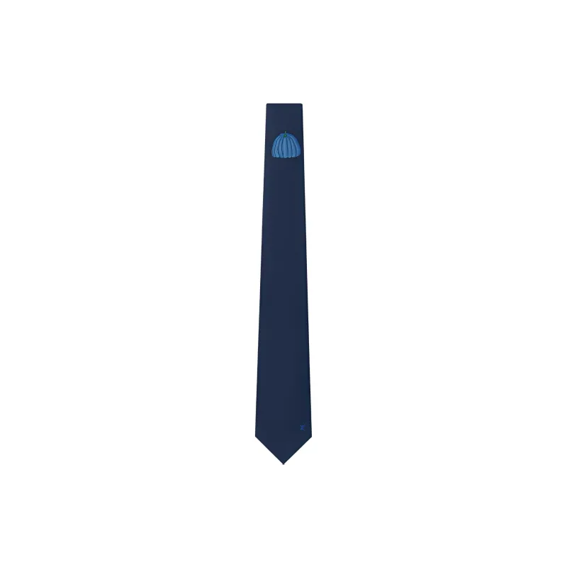 LOUIS VUITTON Pumpkin Ties Men Blue-0