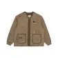 Brown BGD