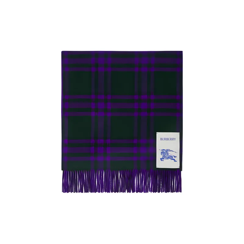 Burberry Knit Scarves Women's Purple-1