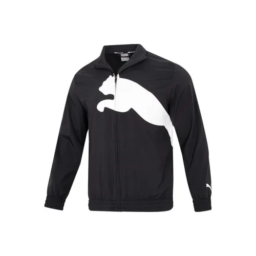PUMA TRAIN BIG CAT Jackets Men Black