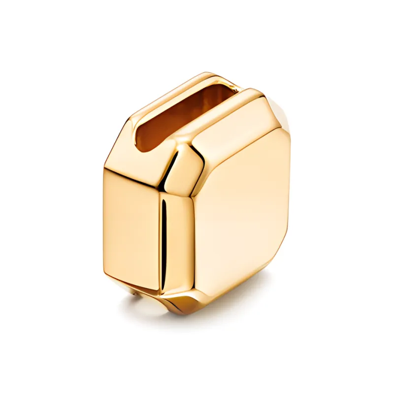 TIFFANY & CO. Scarf Buckle Unisex Gold-1