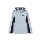 Silver Gray