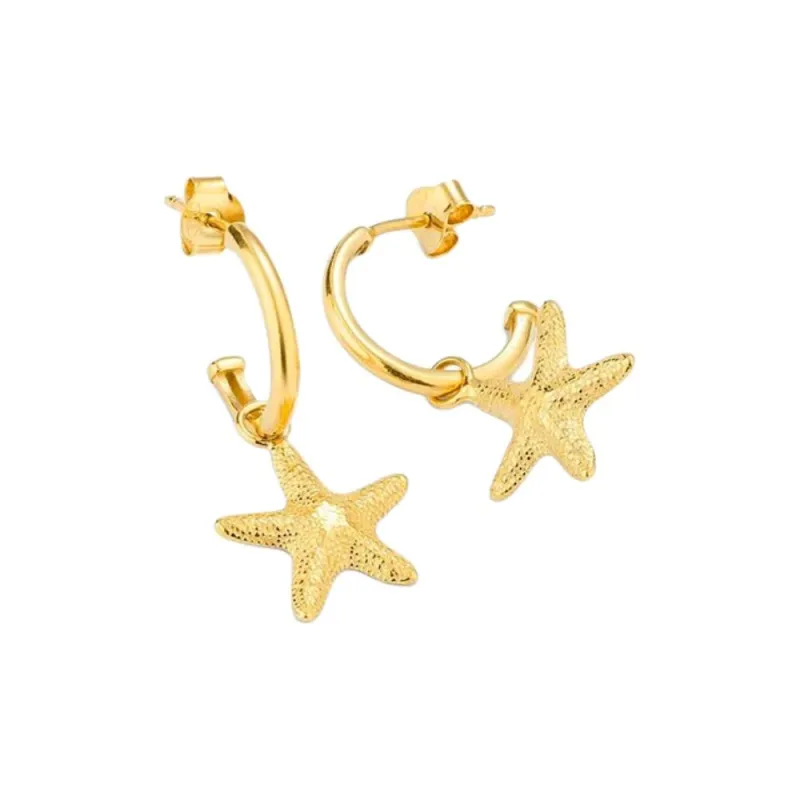 Radiant Stainless Steel Earrings Women's Gold-1