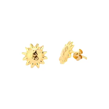 Radiant Stainless Steel Earrings Women's Gold