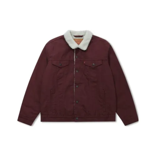 Levis venices Men Burgundy