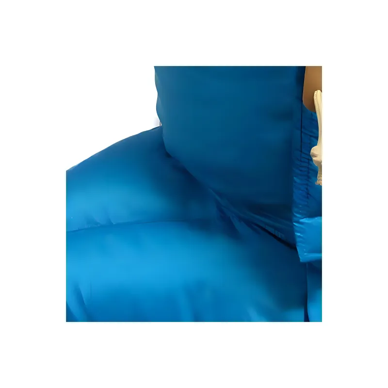 The North Face X GUCCI Down Jackets Women's Blue-3