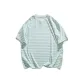 Light Green Stripes