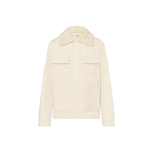 LOUIS VUITTON Monogram Workwear Denim Jacket