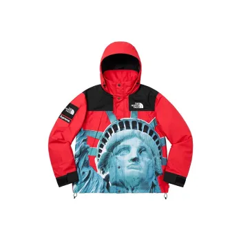 Supreme The North Face Statue Of Liberty Mountain Jacket