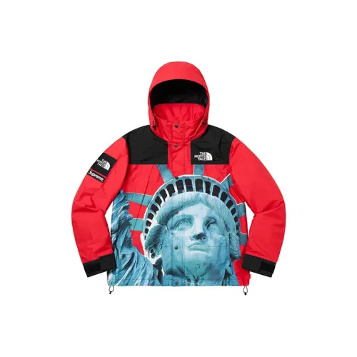Supreme The North Face Statue Of Liberty Mountain Jacket