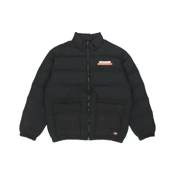Dickies Down Jackets Men Black