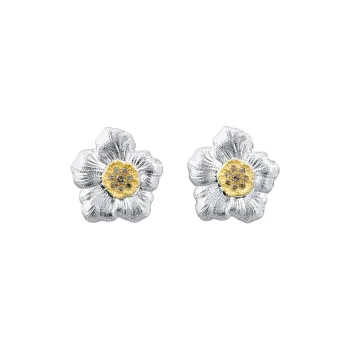 BUCCELLATI 925 Sterling Silver, Colored Rhinestone Earrings Unisex Silver