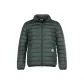 Gray Green