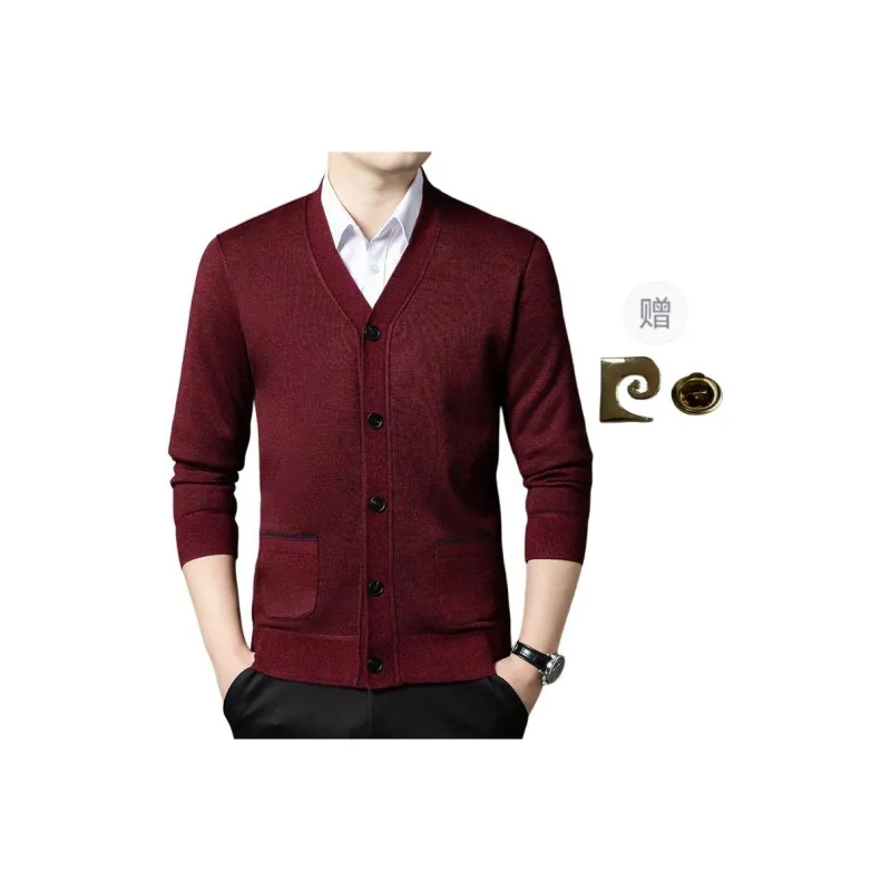 PIERRE CARDIN Knitwear Men-3