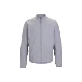Gray/Asteroid