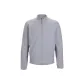 Gray/Asteroid