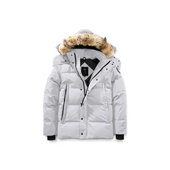 Canada Goose Wyndham Series Down Jacket Men's Silver Birch