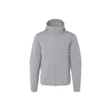 Rhinoceros Gray