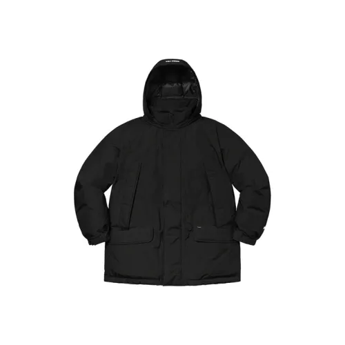 Supreme GORE TEX 700 Fill Down Parka FW20