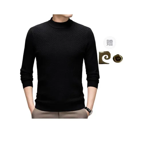 PIERRE CARDIN Knitwear Men